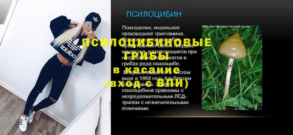 дурь Верхний Тагил